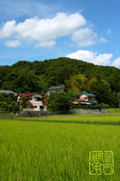 Japanese village