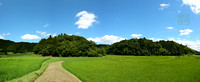 June Ricefields Panorama