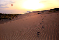 Sand Dune Footprints_6725 Hanko