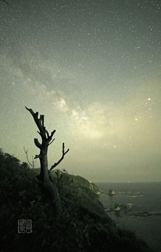 The Cliff Tree_9912 Hanko