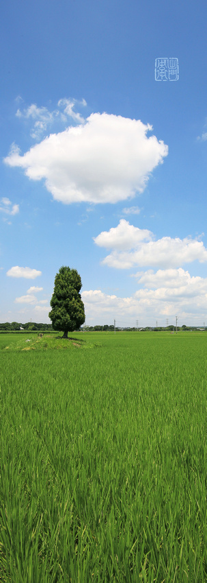 Cloud and Tree-1594 Hanko