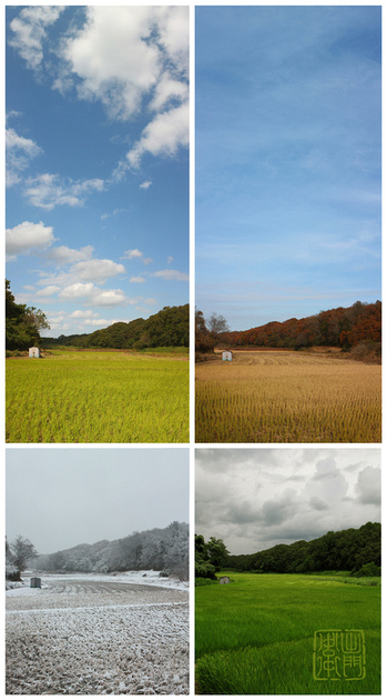 Four Seasons of Satoyama
