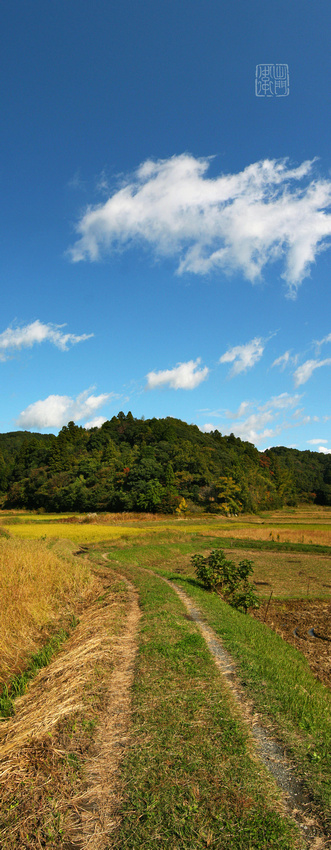 Autumn Road_8266_Done Hanko