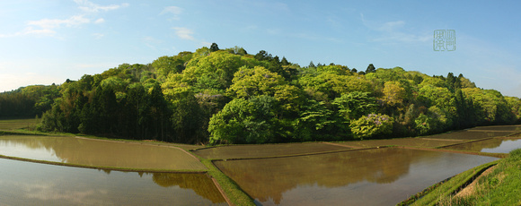 April Tambo Panorama