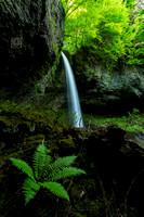 Waterfall fern Dfraw _0102 hanko