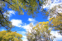 Autumn Sky_5710 Hanko