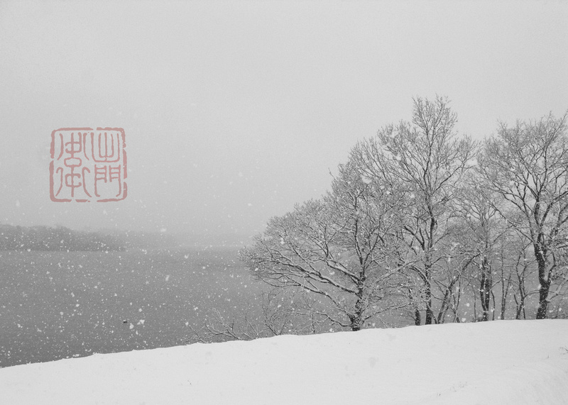 Trees in Snow