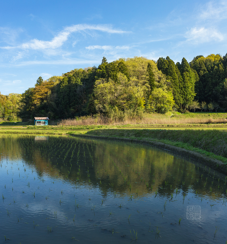 Sasago-Barn-April-Dfraw2019-5136-WSJ