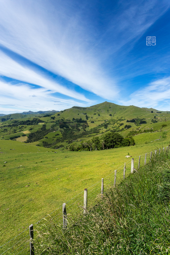 Akaora-Harbour-Dfraw2020-_0286-Rakkan-WSJ