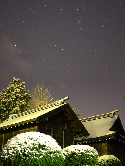 Snow Shrine and Stars