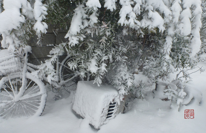 Blizzard Bicycle