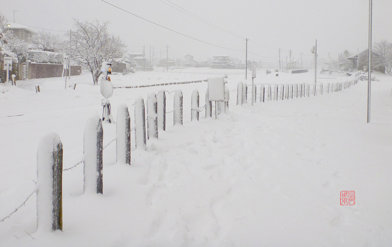 Blizzard Fence