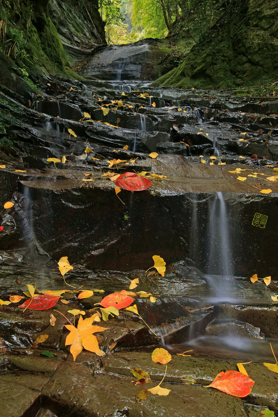 Hanging Gully